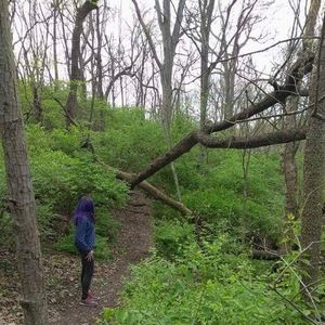 Meet your Posher, Tiffany